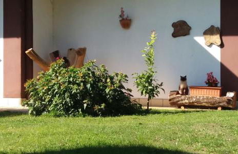 Casetta in Collina - Foto 27