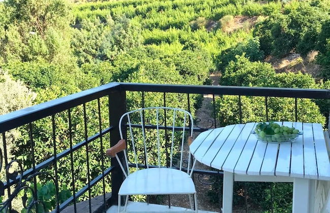 Heredot's House - Foto 25