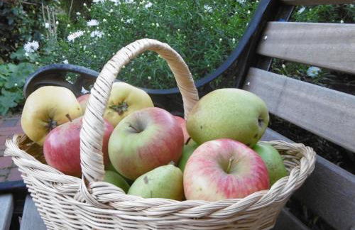 Das Koogsbauernhaus - Foto 13