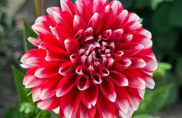 Ferienwohnung Am Berg - Foto 13