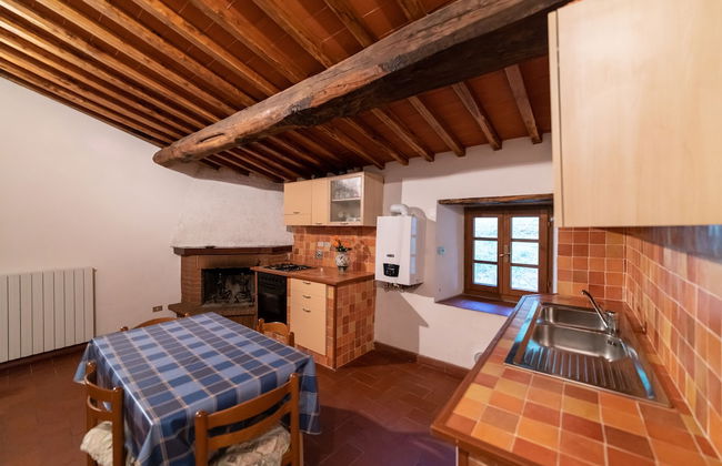 Fattoria di Cintoia - Photo 28