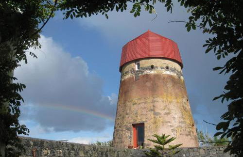 O Moinho Da Bibi - Photo 18