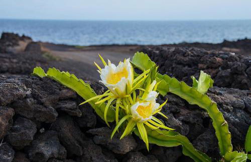 Punta de la Pared - Foto 9