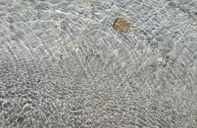 Lo Scrigno - Foto 20