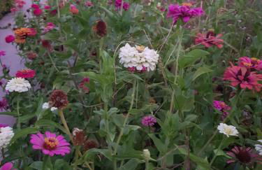 Eleni B&B - Photo 40