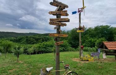 Kuća za odmor Janković - Foto 41