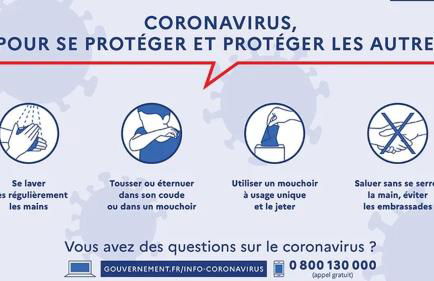 Comme à la maison - BASILIQUE - Foto 47