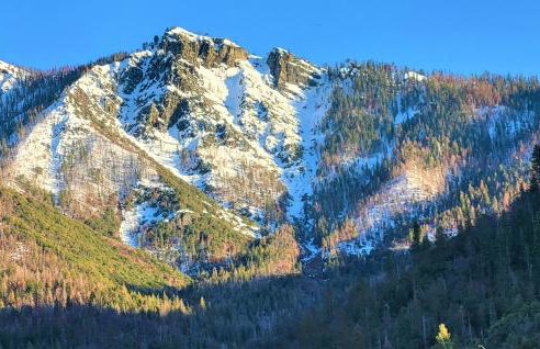 Redwood Retreat, Mountains, Adventure and Nature - Foto 11