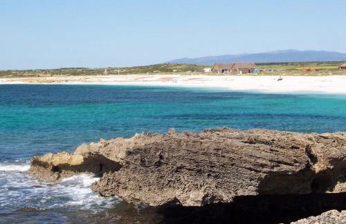 Agriturismo Le Mimose - Foto 16