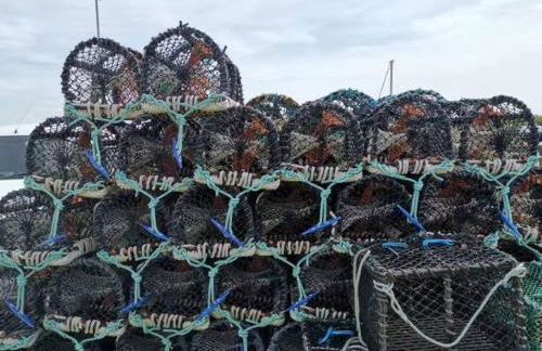 Berneray Otter Cottage - Foto 34