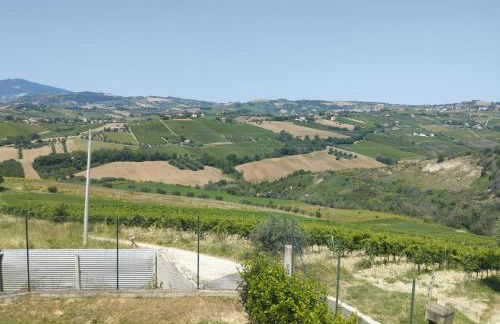 Palme e vigne - Foto 18