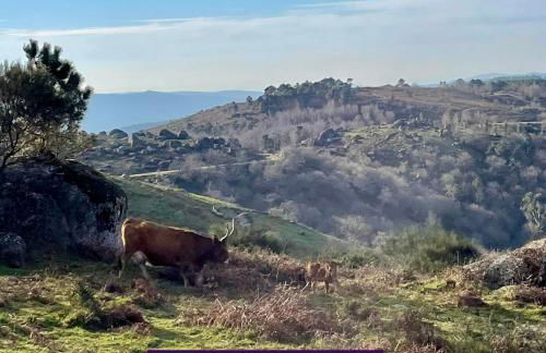 Casa Outeiro 99 - Foto 58