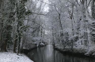 Chalet au Coeur de Foret Gouvieux - Foto 24