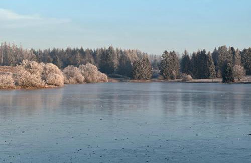 Harz Apartment 'Storchennest' mit Seeblick - Bubo am See - Photo 33