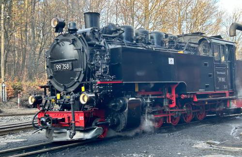 Naturidyll in Seenähe - Ferienhaus Landhaus Habichtnest - Foto 18