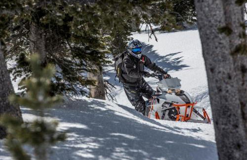 Remington Retreat by KABINO Dog Friendly FirePit Sleeper Sofa WiFi Grill - Foto 18