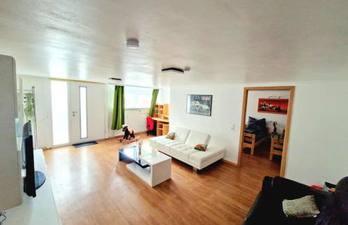 Schöne Wohnung mit Garten nahe schweizer Grenze - Foto 1