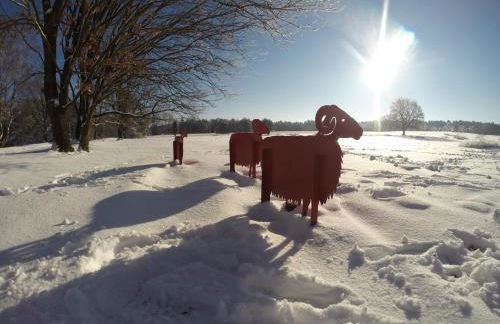 Ferienwohnung Am Holzfeld - Photo 31