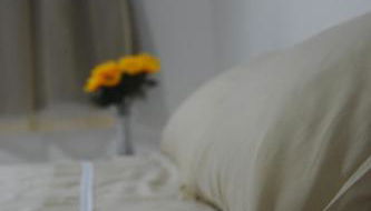 Cantinho da Alice - Foto 3