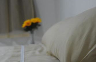 Cantinho da Alice - Foto 3