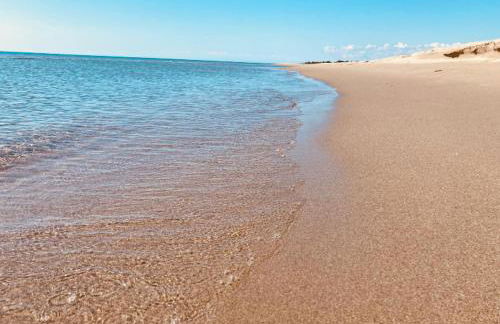 biodelfico, Policoro, Matera, Montalbano, mare - Photo 37