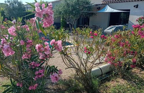 Villa de charme à Cucuron au pied du luberon - Foto 69