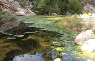 Agriturismo La Casa delle Fate - Photo 60