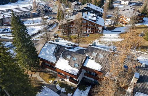 Petit Cirsio - Foto 19