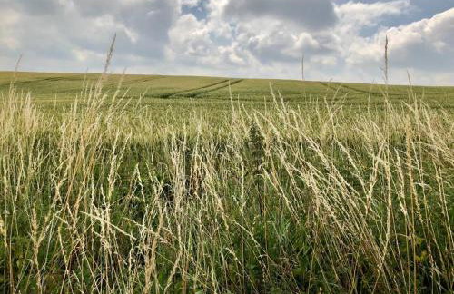An der Stadtmauer Bürgel - Foto 21