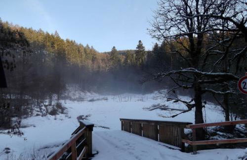 Ferienwohnung-Schoenmuenzblick-Urlaub-im-Nationalpark-Schwarzwald-Schwarzwald-Plus-inklusive - Photo 46