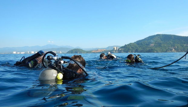 Beneath the Blue: Dive into the Wild Pacific - Photo 3