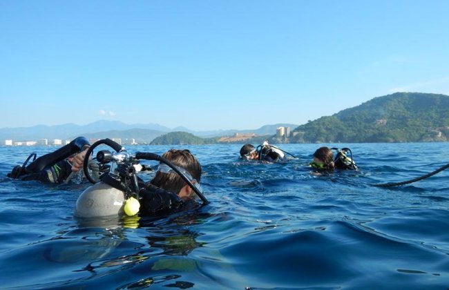 Beneath the Blue: Dive into the Wild Pacific - Photo 3