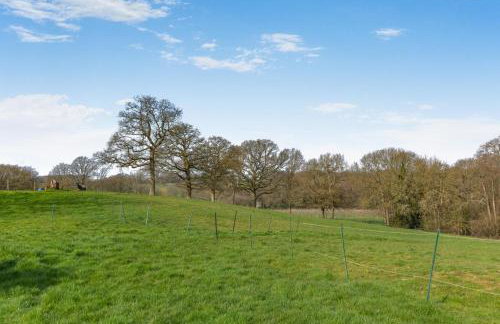 1 Bed in Piltdown oc-t36330 - Photo 13