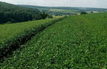 Lüns Ökoferien - Foto 20