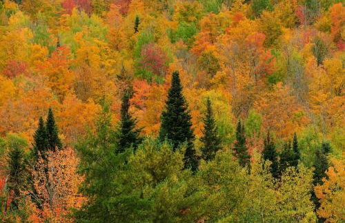 Modern Mtn Home*Pools*Fire Pit* - Foto 11