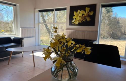 foresthaus - Foto 10