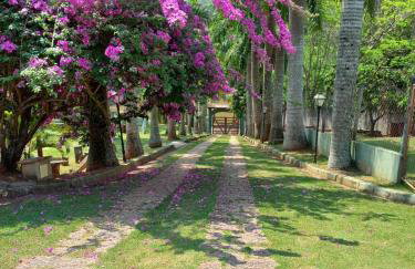 CHÁCARA POUSO FELIZ Atibaia - Foto 14