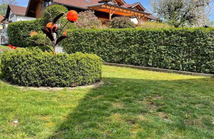 Ferienhaus Jakob - Foto 19