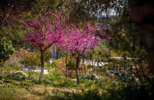 Koronisia Apartments - Foto 12