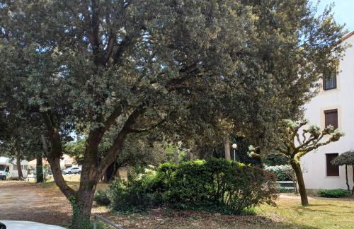 AGREABLE REZ DE JARDIN AVEC TERRASSE PROCHE PLAGE - Foto 30