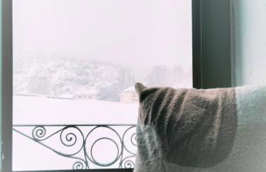 Villa Rosalía - Photo 18