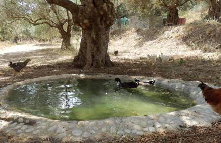 Mouri Villa - Foto 32