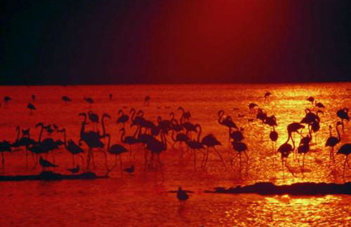 Chalet en la misma playa - Foto 24