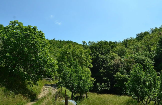 Rustic Tuscan Cottage - Foto 36