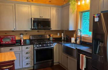 Mountain Cabin & Creek-Front Nature Retreat NC - Foto 13