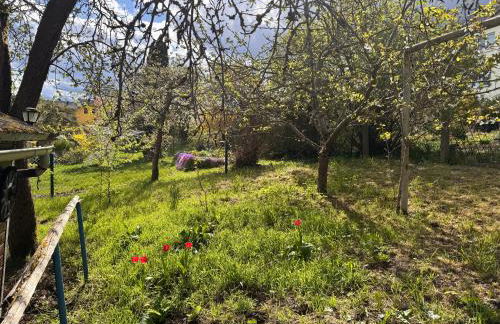 Ferienwohnung Hubertus - Foto 31