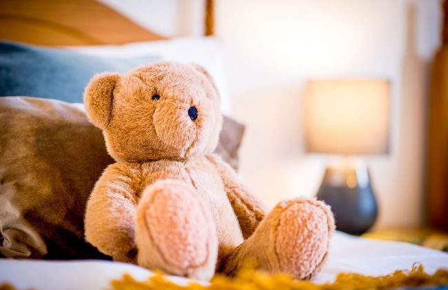 St. Tinney Farm - Photo 21