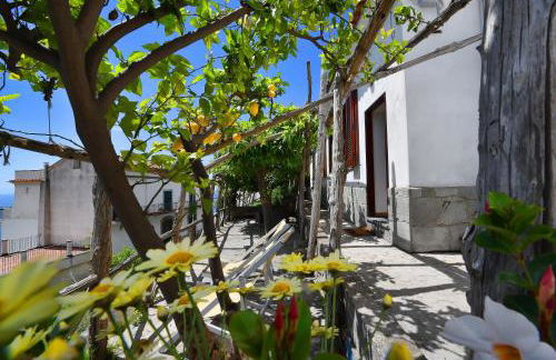 Dama Di Cuori - Foto 11