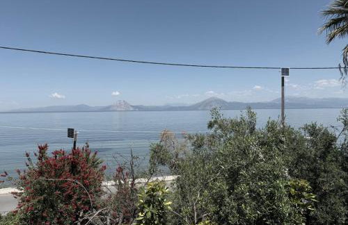 Sunset Oasis - Foto 6