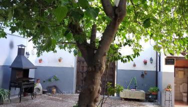 casa rural la Venta de Agar Orgaz, Toledo 30 min Puy du fou - Foto 3, Garden view